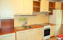 Apartament 3 camere, 70 mp, decomandat, mobilat modern, zona strazii Viilor