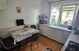 Oferta! Apartament cu 3 camere, mobilat, utilat, Manastur, etajul 1!