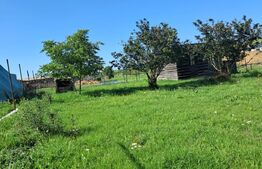 Casă spațioasă 224 mp, cu teren generos de 1.043 mp, în Săliștea Nouă 