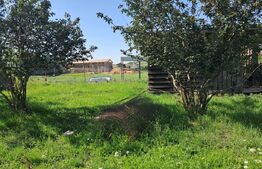 Casă spațioasă 224 mp, cu teren generos de 1.043 mp, în Săliștea Nouă 