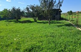 Casă spațioasă 224 mp, cu teren generos de 1.043 mp, în Săliștea Nouă 