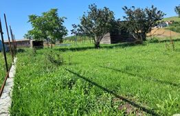 Casă spațioasă 224 mp, cu teren generos de 1.043 mp, în Săliștea Nouă 