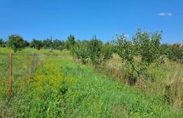 Teren intravilan 3416 mp Săliștea Nouă, Baciu, Cluj 