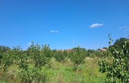 Teren intravilan 3416 mp Săliștea Nouă, Baciu, Cluj 