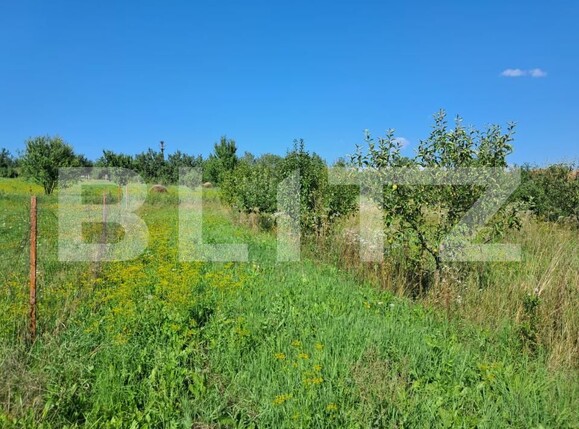 Teren de vânzare Exterior Sud - 175632TV | BLITZ Cluj-Napoca | Poza3