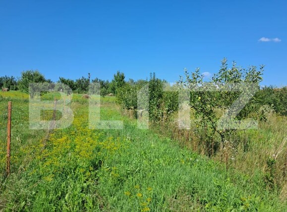 Teren de vânzare Exterior Sud - 175632TV | BLITZ Cluj-Napoca | Poza5