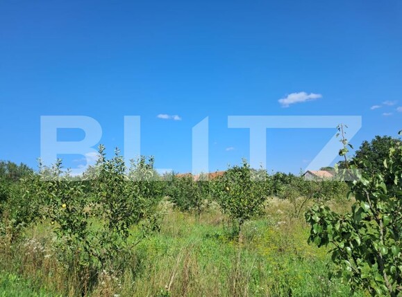 Teren de vânzare Exterior Sud - 175632TV | BLITZ Cluj-Napoca | Poza1