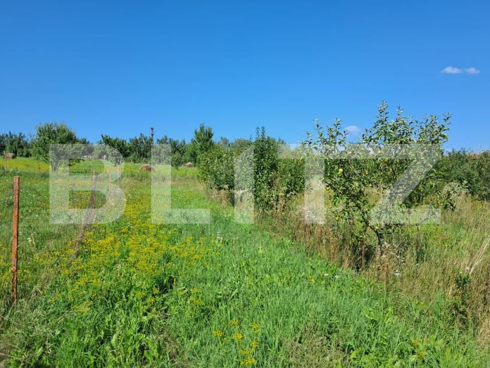 Teren de vânzare Exterior Sud - 175632TV | BLITZ Cluj-Napoca | Poza5