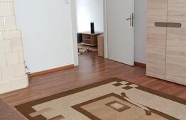 Apartament cu 1 camera, 40 mp + bucatarie inchisa zona Centrala