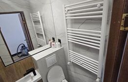 Apartament 1 camera, renovat complet 