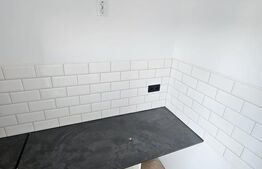 Apartament 1 camera, renovat complet 