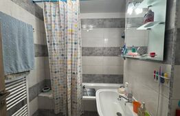 Apartament cu 4 camere, 100 mp, cu pivnita in zona pietei Flora 