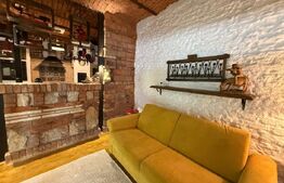 Apartament o camera, 35 MP, parcare, Design Rustic, zona Mihai Viteazul