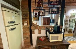 Apartament o camera, 35 MP, parcare, Design Rustic, zona Mihai Viteazul