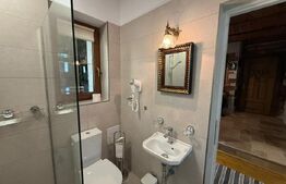 Apartament o camera, 35 MP, parcare, Design Rustic, zona Mihai Viteazul