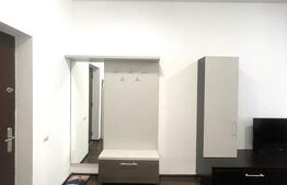 Apartament 2 camere, 45 mp, AC, zona Plopilor 