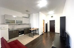 Apartament 2 camere, 45 mp, AC, zona Plopilor 