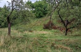 Casă la țară de vânzare, teren de 6000 mp – Cacova Ierii, Comuna Iara, Cluj