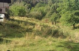 Casă la țară de vânzare, teren de 6000 mp – Cacova Ierii, Comuna Iara, Cluj