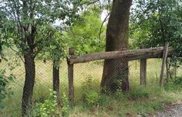 Casă la țară de vânzare, teren de 6000 mp – Cacova Ierii, Comuna Iara, Cluj