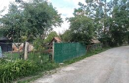 Casă la țară de vânzare, teren de 6000 mp – Cacova Ierii, Comuna Iara, Cluj