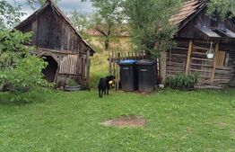 Casă la țară de vânzare, teren de 6000 mp – Cacova Ierii, Comuna Iara, Cluj