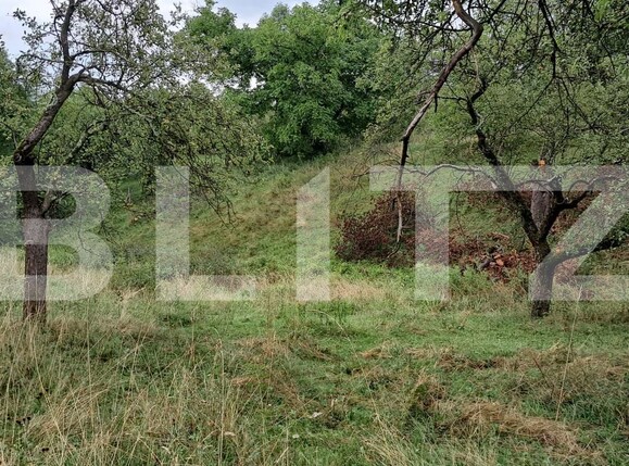 Casa de vânzare 4 camere Cacova Ierii - 175859CV | BLITZ Cluj-Napoca | Poza14