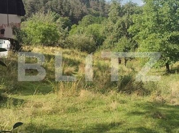 Casa de vânzare 4 camere Cacova Ierii - 175859CV | BLITZ Cluj-Napoca | Poza10