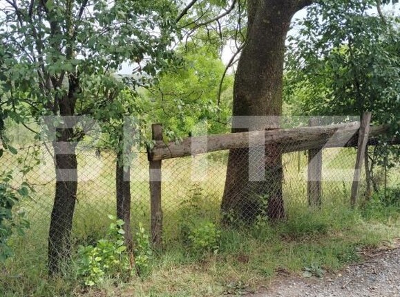 Casa de vânzare 4 camere Cacova Ierii - 175859CV | BLITZ Cluj-Napoca | Poza3