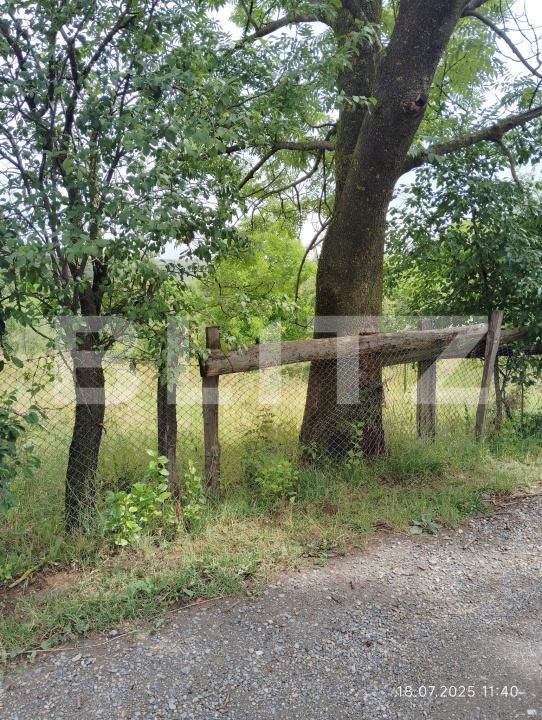 Casa de vânzare 4 camere Cacova Ierii - 175859CV | BLITZ Cluj-Napoca | Poza3