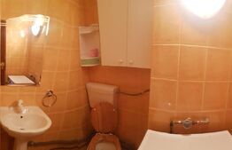 Apartament cu 3 camere, 70 mp, Pet Friendly, zona UMF