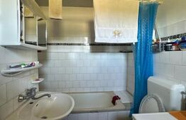 Casa saseasca de vanzare, curte, gradina, teren 3000 mp - Jimbor, jud Brasov