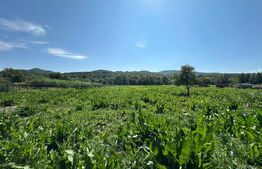 Casa saseasca de vanzare, curte, gradina, teren 3000 mp - Jimbor, jud Brasov