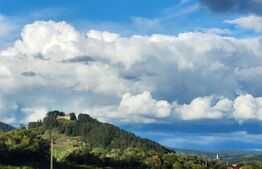 Casa saseasca de vanzare, curte, gradina, teren 3000 mp - Jimbor, jud Brasov