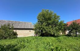 Casa saseasca de vanzare, curte, gradina, teren 3000 mp - Jimbor, jud Brasov