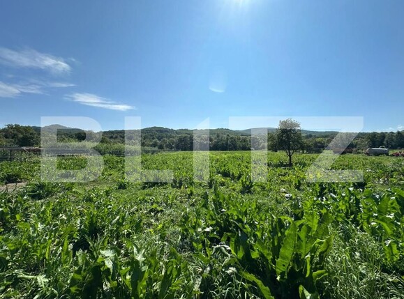 Casa de vânzare 5 camere Jimbor - 175871CV | BLITZ Brașov | Poza7