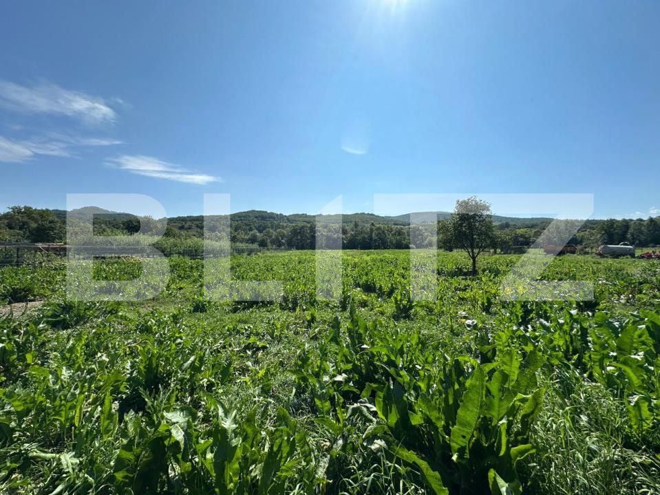 Casa de vânzare 5 camere Jimbor - 175871CV | BLITZ Brașov | Poza7