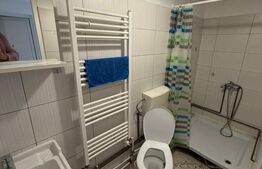 Garsoniera, 30mp, zona BIG Manastur