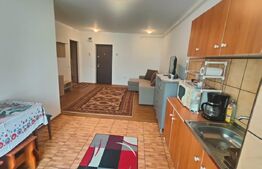 Apartament cu doua camere, mobilat, etaj 2, strada Florilor