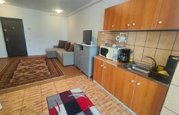 Apartament cu doua camere, mobilat, etaj 2, strada Florilor