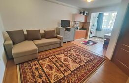Apartament cu doua camere, mobilat, etaj 2, strada Florilor