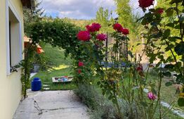 Casa renovata integral – Suceagu, com. Baciu  | Teren 1950 mp