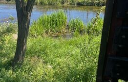 Casa cu parau in spatele curtii in Prejmer, ideala pentru investitie