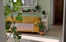 Apartament 2 camere, 45 mp– elegant –Gheorgheni