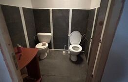 Casa individuala Sacele, zona buna, garaj 3 masini, terase/anexe