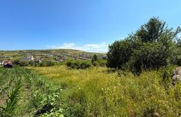 Teren intravilan – Intrare Chinteni, oportunitate de investiție