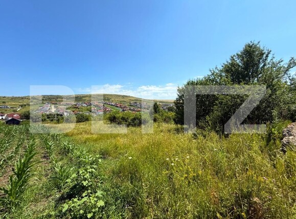 Teren de vânzare Chinteni - 175997TV | BLITZ Cluj-Napoca | Poza2