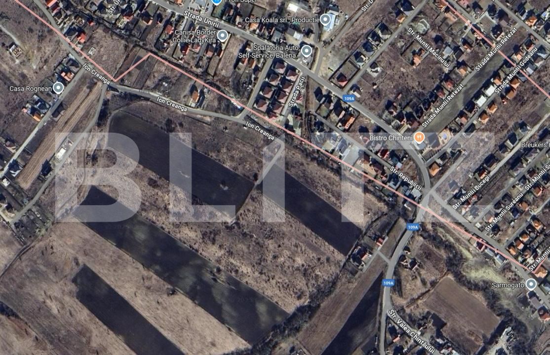 Teren de vânzare Chinteni - 175997TV | BLITZ Cluj-Napoca | Poza1