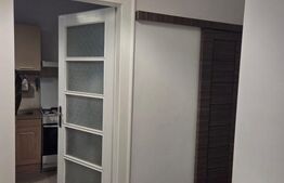 Apartament 1 camera, 55 mp, zona Centrala 