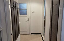 Apartament 1 camera, 55 mp, zona Centrala 